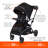 Sit N Stand® 5-In-1 Shopper Stroller  - Kona-107823108