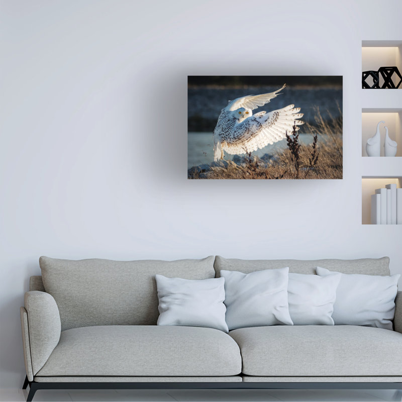 Œuvre sur toile, Ming H Yao, H 30 po x l 47 po