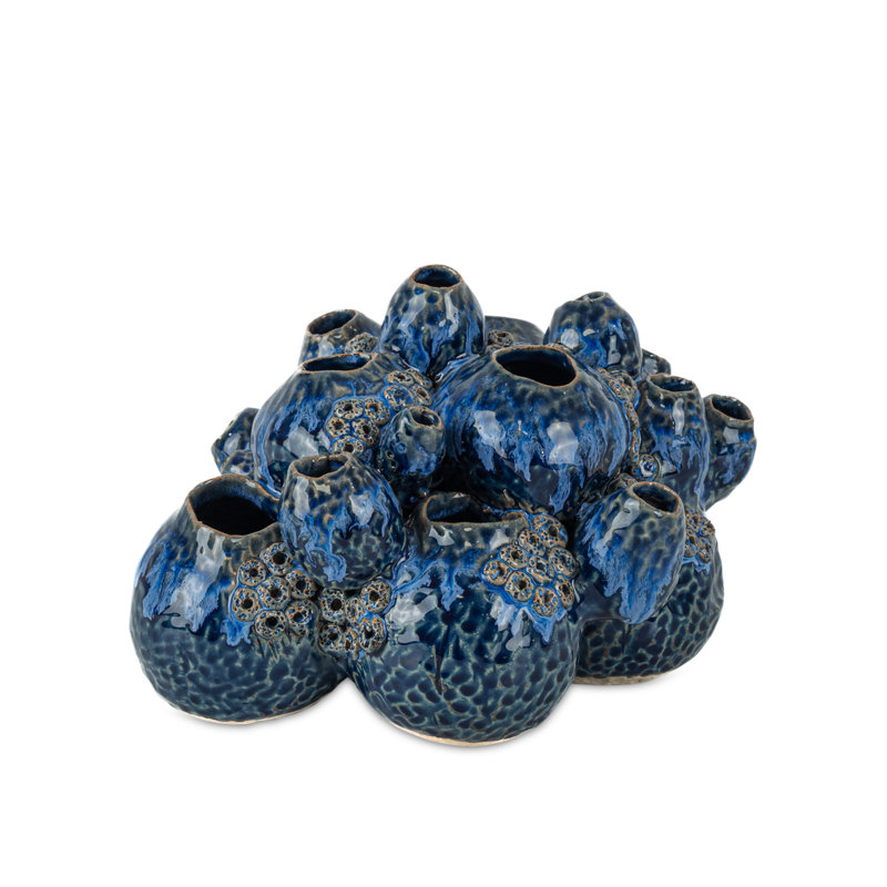 Sulawasi Blue Shells