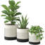 Pot Planter