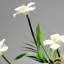 Ornements de fleurs simulées