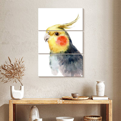 Brampt Cute Parakeet