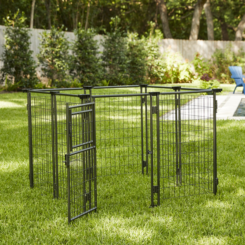 Enclos pour chien extensible