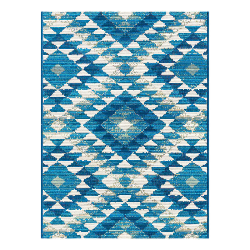 Foundry Select Fethiye Titcomb Indoor/Outdoor Area Rug, Rectangle 2' x 3'
