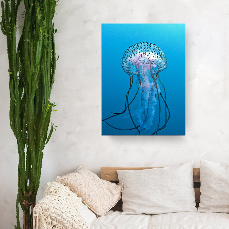 « geléy fish », reproduction de photo sur toile