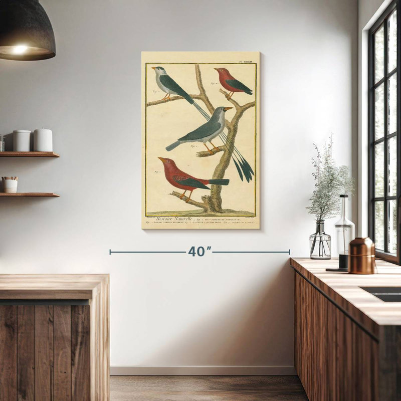Brampt Bird Drawing I, 39" H x 26" W