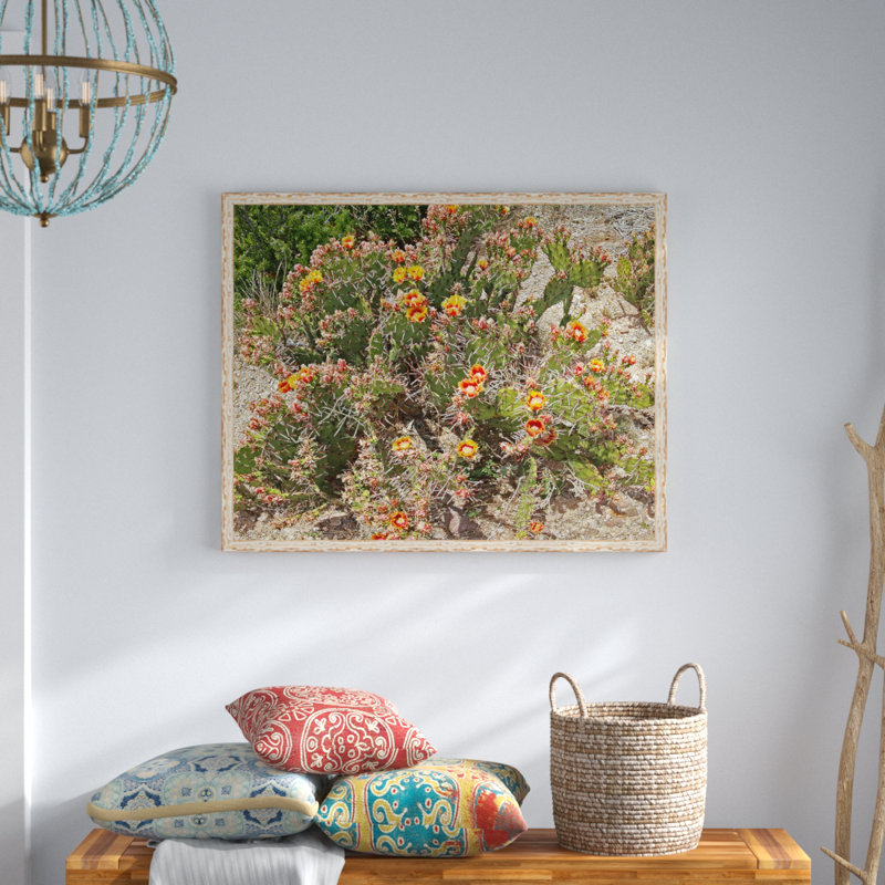 « prickly poirier cactus », reproduction de photo sur toile tendue encadrée