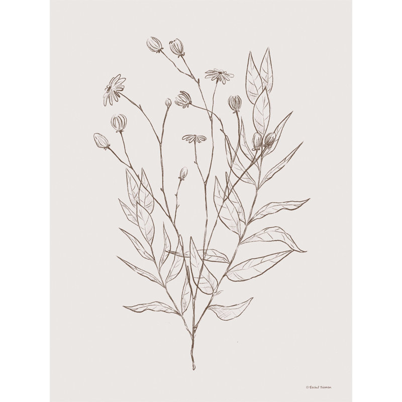 Dessin de fleurs sauvages - reproduction sur toile tendue, H 32 po x l 24 po