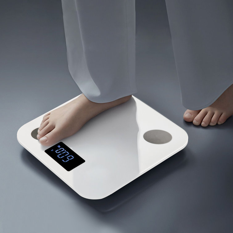 Smart BMI Digital Scale Bluetooth Scale White Wayfair Samples