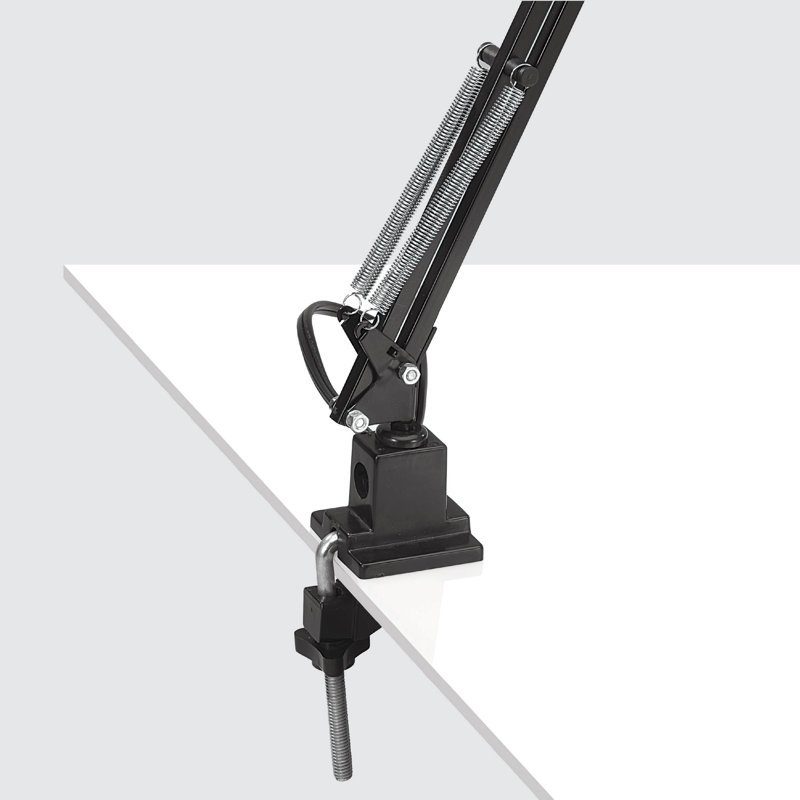 Architect Adjustable Metal Desk Lamp