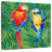 Brampt Amazon Birds-109374156