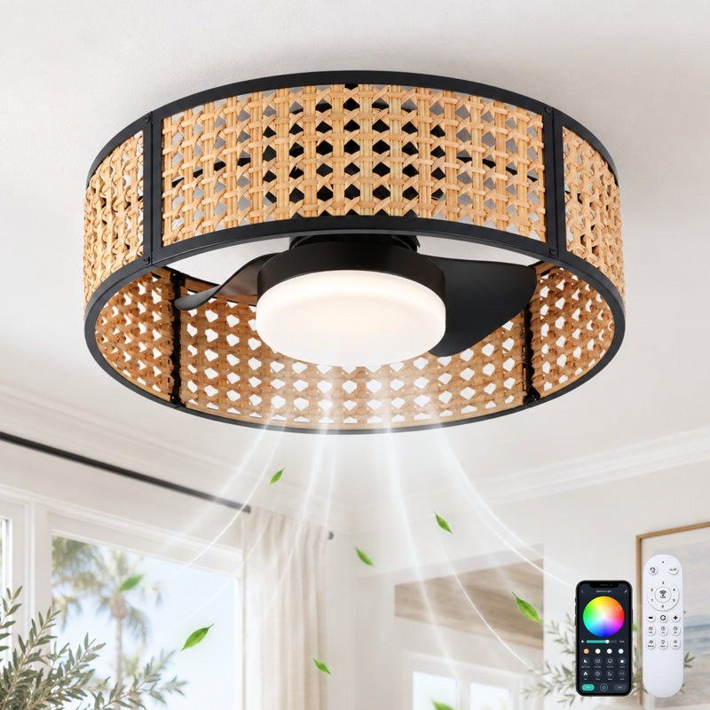 Aquila 20" Wood Farmhouse Caged LED Dimmable RGB Ceiling Fan With Light And Remote Control