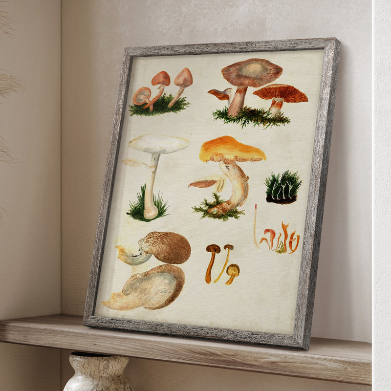 «Mushroom Species IV», reproduction encadrée - bois massif, H 11 po x l 9 po