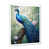White Single Picture Framed