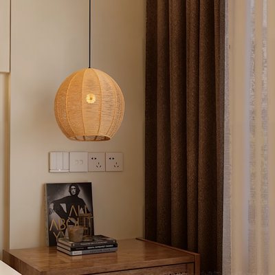 1-Light Pendant Light Globe