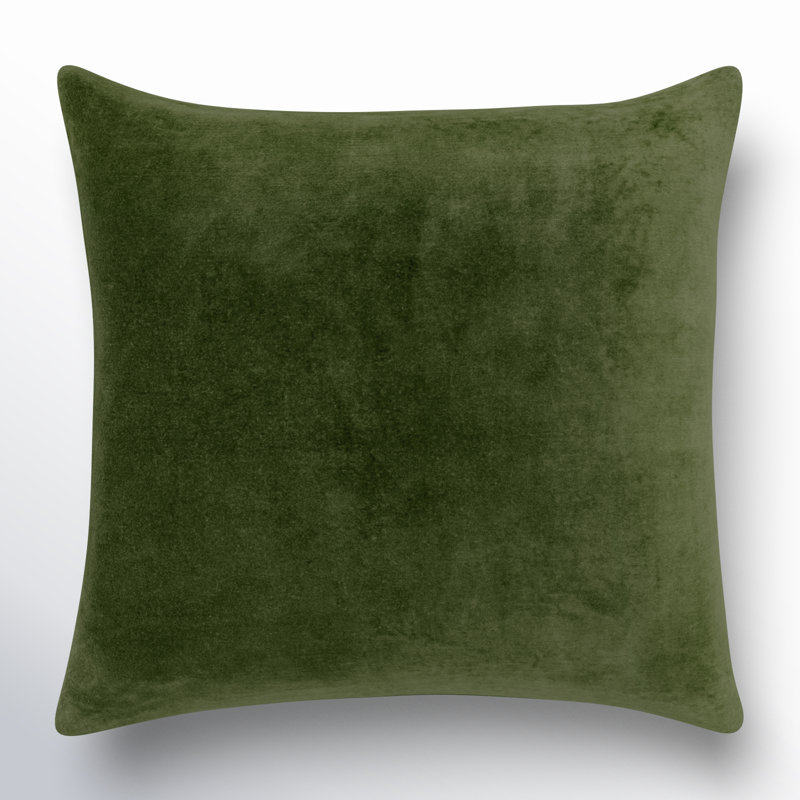Denny Cotton Throw Pillow, Polyester/Polyfill, Green, Square 20"