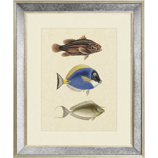 Fish III - Single Picture Frame Print on Canvas