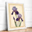 Purple Iris Study Botanical - Framed Print-1468068080-1468068085