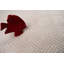 Tapis Leteisha-303478121