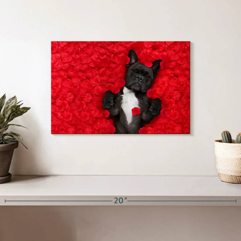 Bouledogue français Brampt Valentines, H 8 po x l 12 po