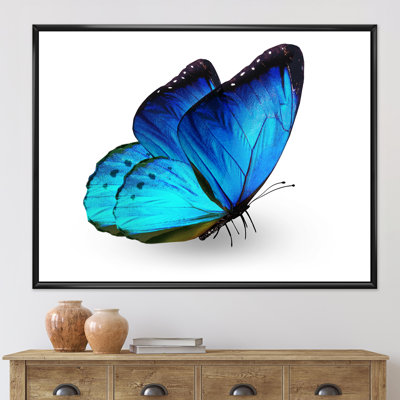 " Vibrant Blue Butterfly "