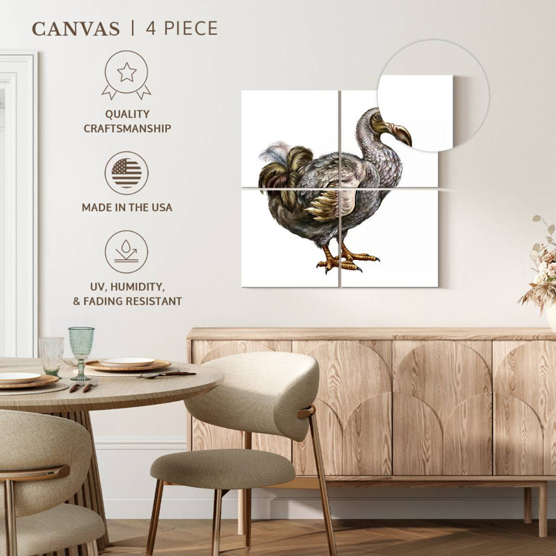 Brampt Dodo, 74" H x 74" W