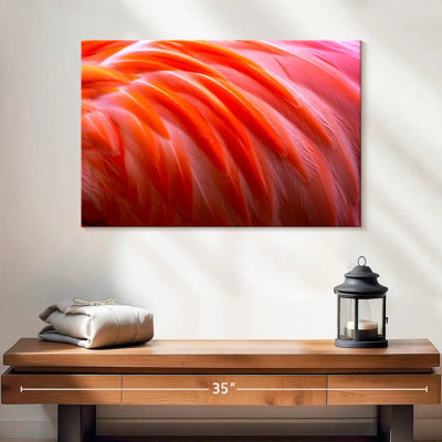 Plumes de flamant rose vif Brampt