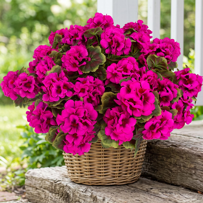 10 " Faux Geranium in