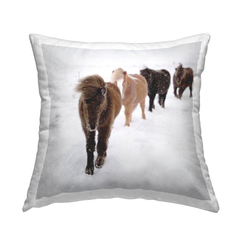 Throw Pillow