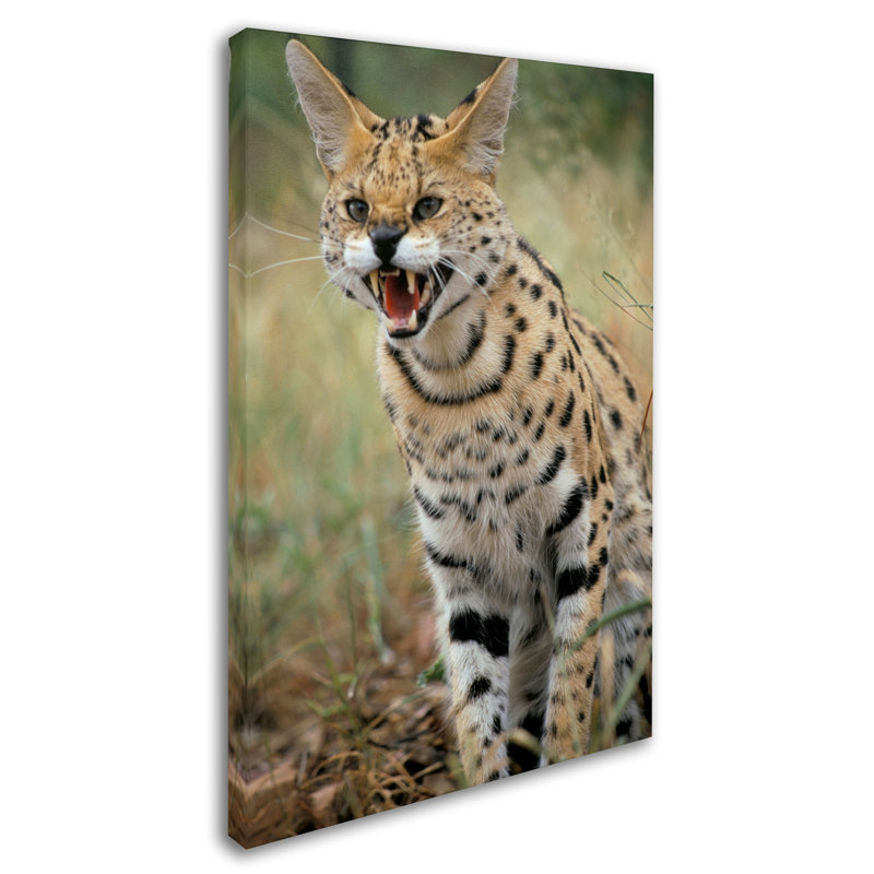 Ann «Cat», reproduction d'impression sur toile tendue, H 19 po x l 12 po