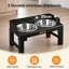 Elevated Feeder