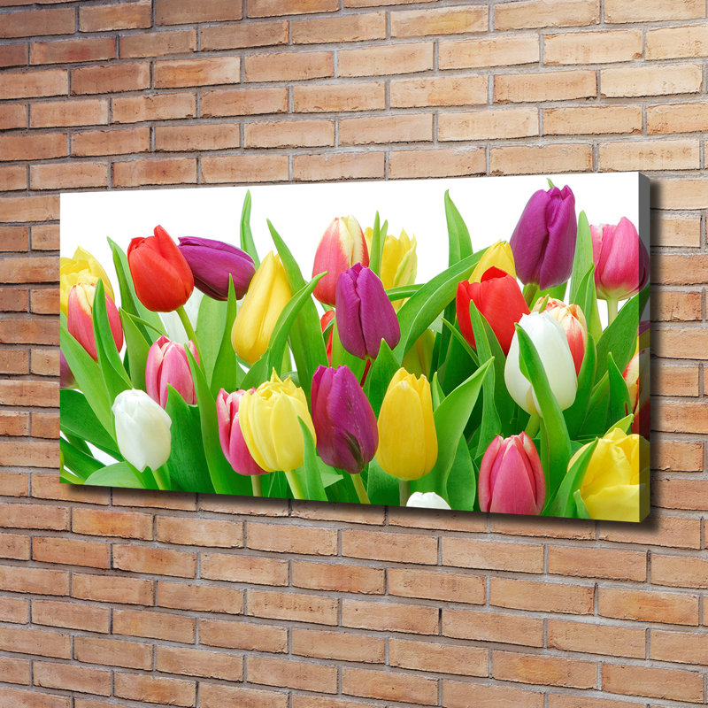 Colourful Tulips - No Frame Print on Canvas, 60cm H x 120cm W x 2cm D, No Frame