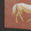 "Même cadence" par Eadvin Muybridge