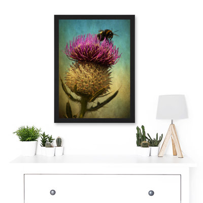 Photo Bumble Bee Thistle Flower Scotland Picture 1 Piece Single Picture Frame Wall Art