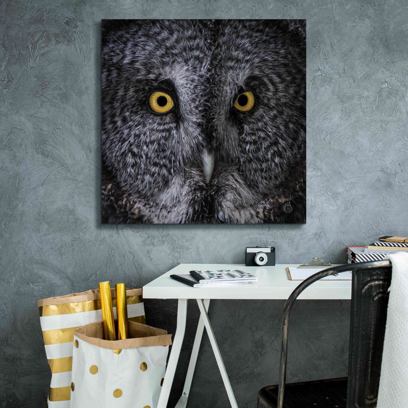 «Great Grey Owl» par Nathan Larson, art mural sur toile, H 26 po x l 26 po x P 1,5 po