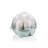 Hamilton Beach® 3-in-1 Egg Cooker with 7 Egg Capacity for Hard-Boiled Eggs, Poached Eggs and Omelets
