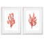 Coral Kelp I par Vincent Van Gogh - ensemble de 2 reproductions d'art encadrées-1345339390-1345351321-1442502709