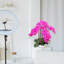 Ensemble de 2 orchidées phalaenopsis fuchsia de 20 po | Fleurs artificielles dans des pots ronds blancs élégants - Décoration de maison et de bureau moderne et éclatante