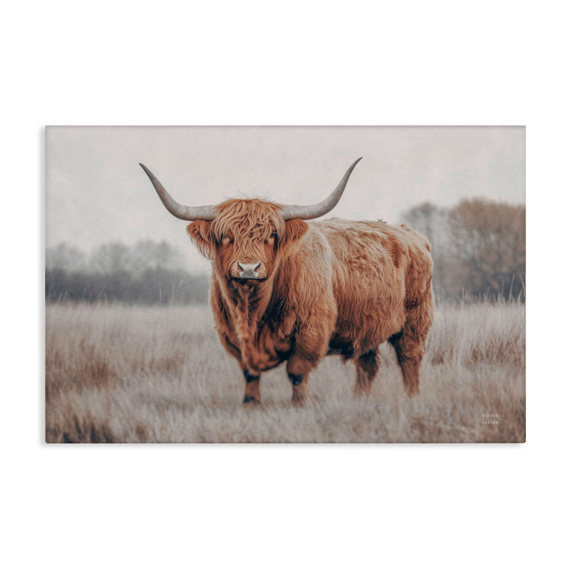 Toile de bovins Center Of Attention, design par Nathan Larson, H 20 po x l 30 po