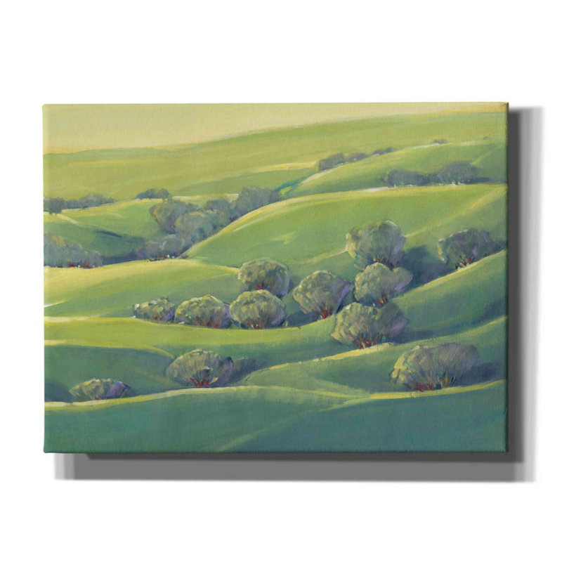 «Hillside View I» par Tim O'toole, art mural sur toile, H 12 po x l 16 po x P 0,75 po
