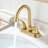 Centerset 2-handle Bathroom Faucet with Drain Assembly-54873413
