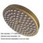 Pomme de douche 8 po BathSelect Vintage