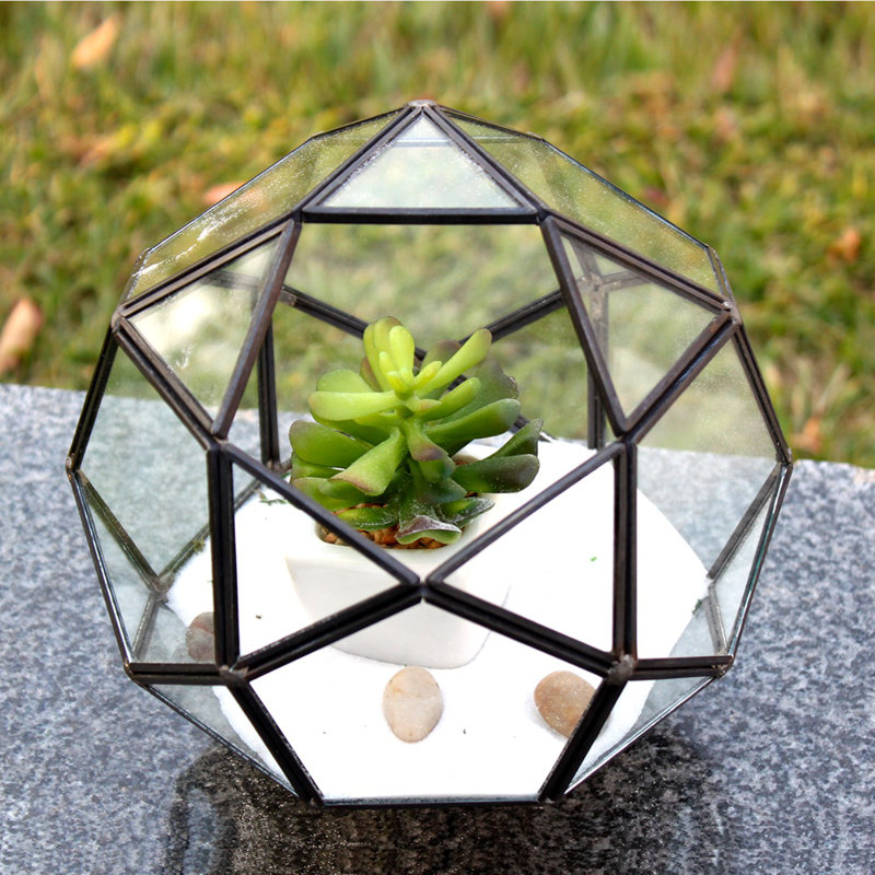 Terrarium en verre icosidodecahedron