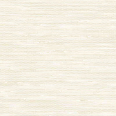 Rouleau de papier peint lisse texture IV