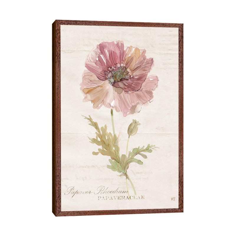 Soft Poppy by Carol Robinson - Painting on Canvas, Classic Brown Wood Framed, 101.6 cm H x 66.04 cm W