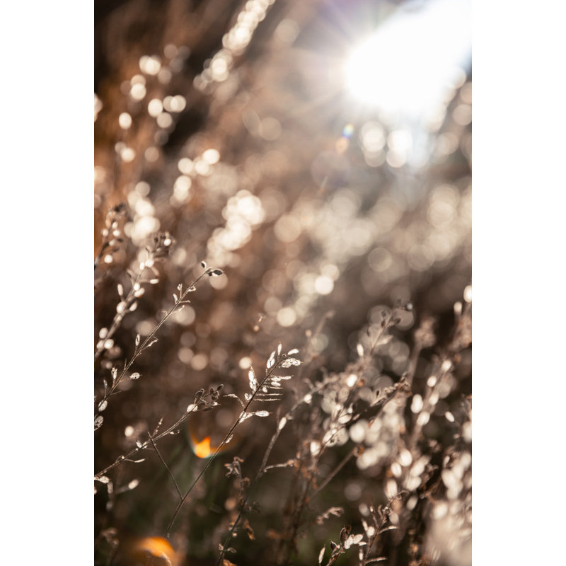 Wrapped Canvas Print, 76.2cm H x 50.8 cm W