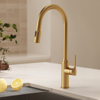Dual-Function Single-Handle Pull-Down Kitchen Faucet with Swivel Spout