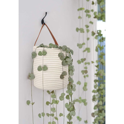 2Pack corde suspendue panier rond paniers suspendus rangement pour lunettes de soleil clés porte-monnaie moderne paniers tissés décoration murale pour panier de coton plante
