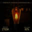 6W E27 Dimmable LED Vintage Edison GLS Light Bulb Amber