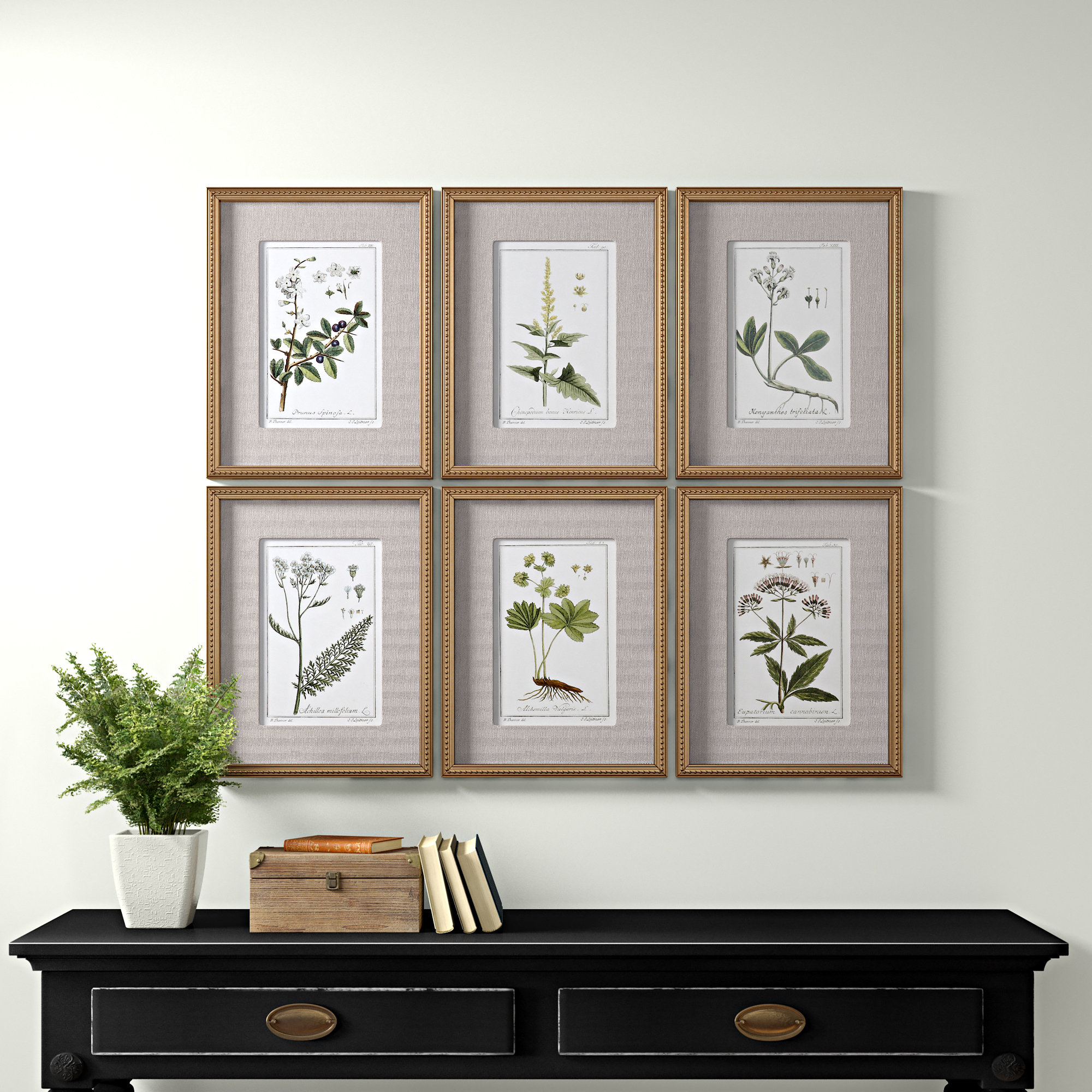 "Green Floral Botanical Study" by Grace Feyock Matted Distressed Gold Framed Graphic Art 